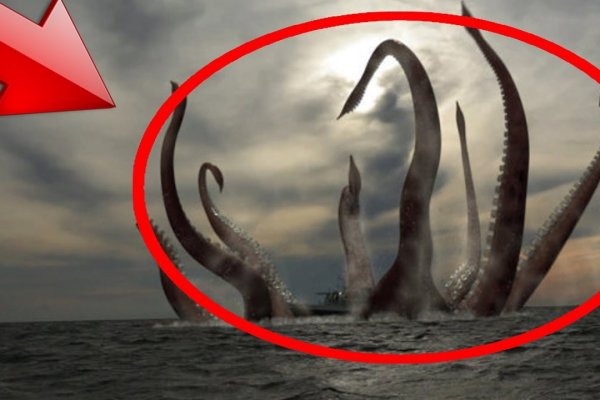Kraken tor link