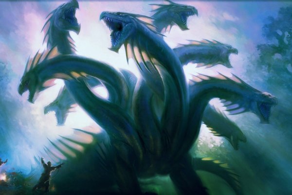 Kraken dark net