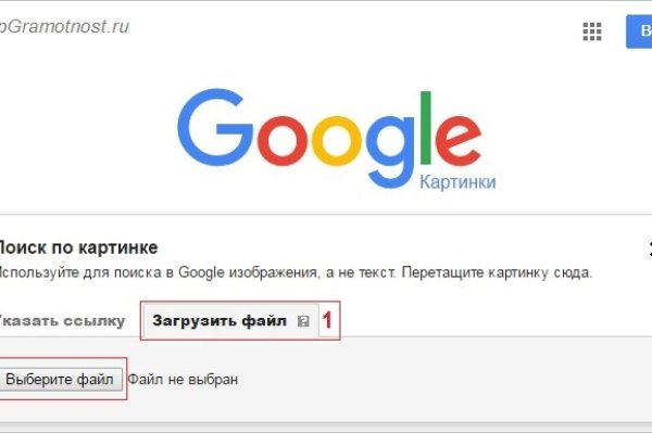 Kraken как найти ссылку